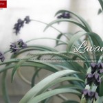 dettaglio-Lampadario-Lavanda-foglieverdi